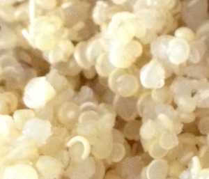Cooked Quinoa Close-up